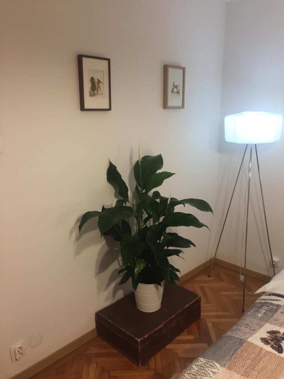 Apartamento Marcy Studio Bucarest Exterior foto